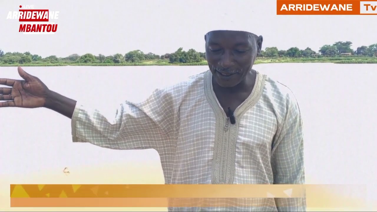 JILLU CEERNO ABDULAYE JOOP E NDER MBANTOU (SEEƊA TAARIK MBANTOU)...
