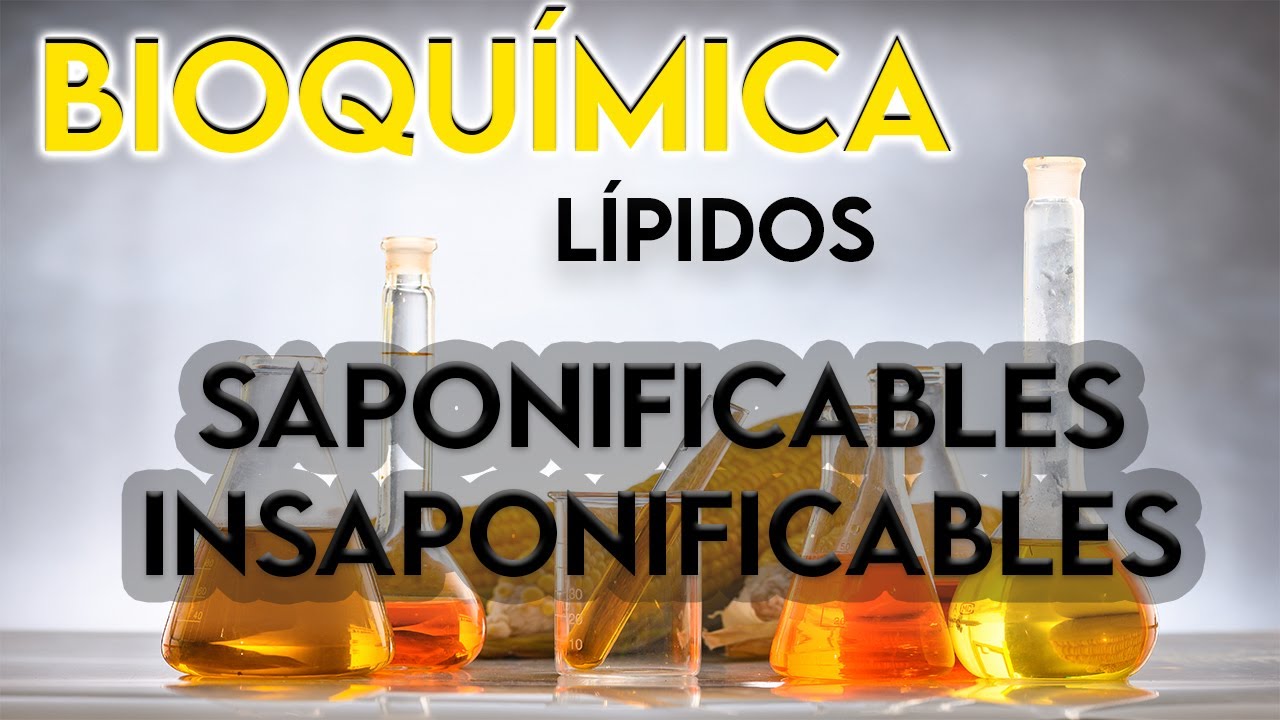 30- LÍPIDOS SAPONIFICABLES E INSAPONIFICABLES ¿QUÉ SON? || BIOQUÍMICA