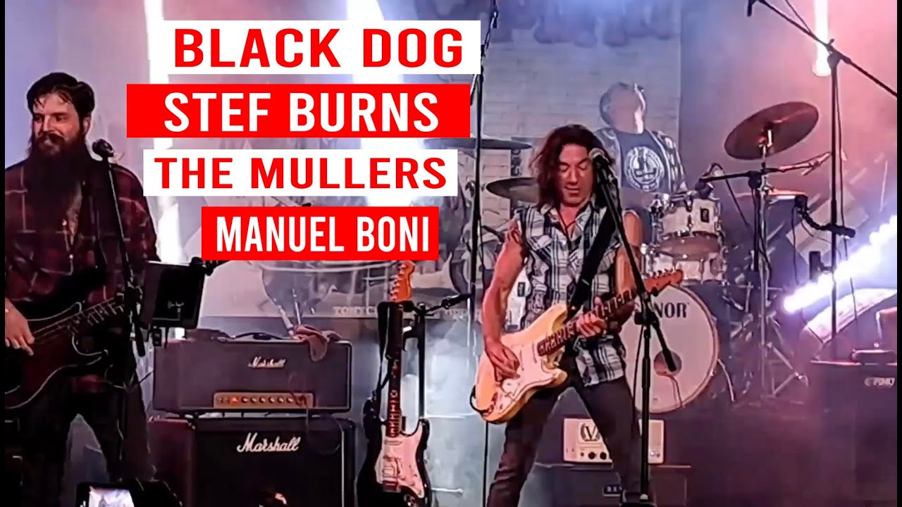 BLACK DOG * LED ZEPPELIN * LIVE STEF BURNS & THE MULLERS * SANREMO * ROCK IN THE CASBAH