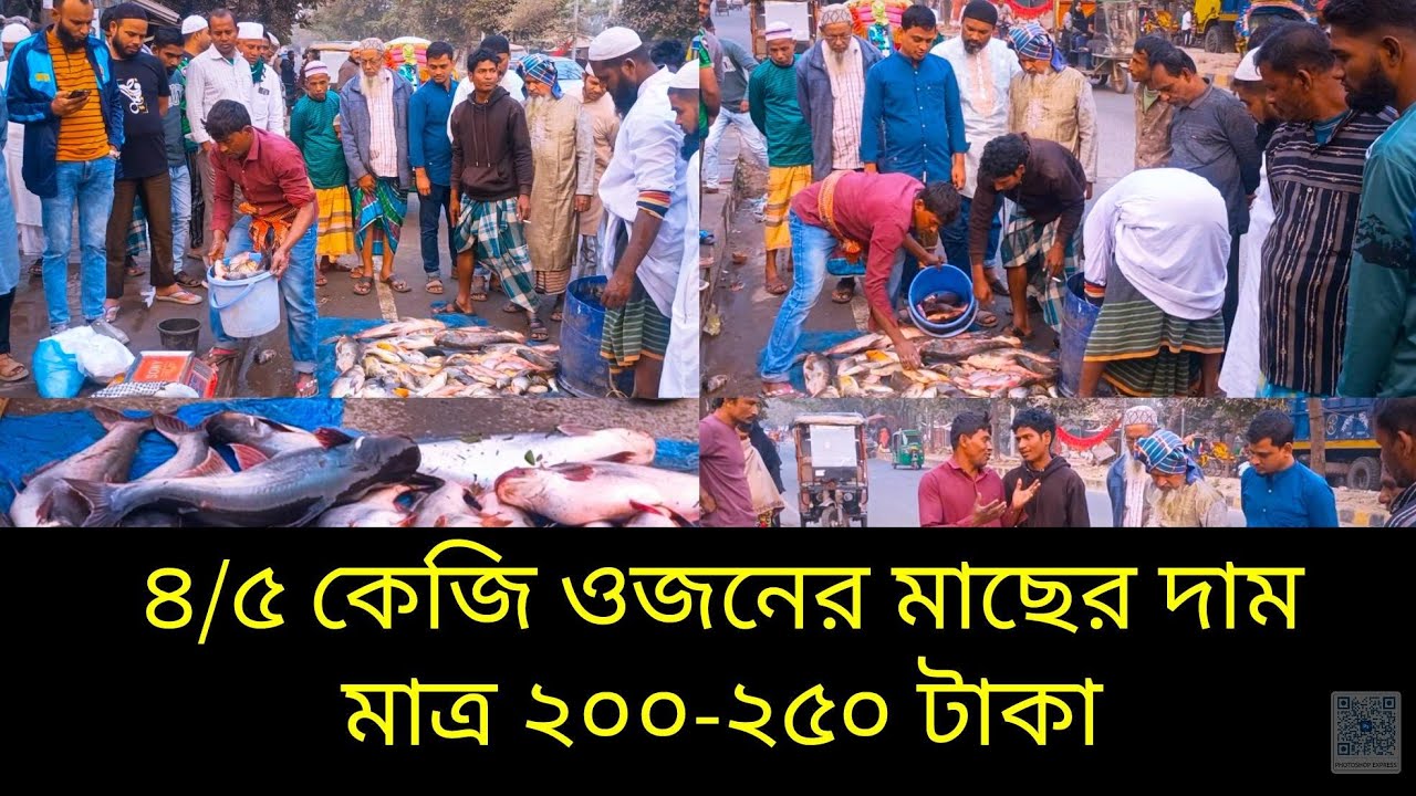 মাছের পাইকারি ও খুচরা বাজার দর। সস্তায় পাওয়া যাচ্ছে ৭/৮ কেজি ওজনের মাছ । আজকের বাজার দর। Bazar dor
