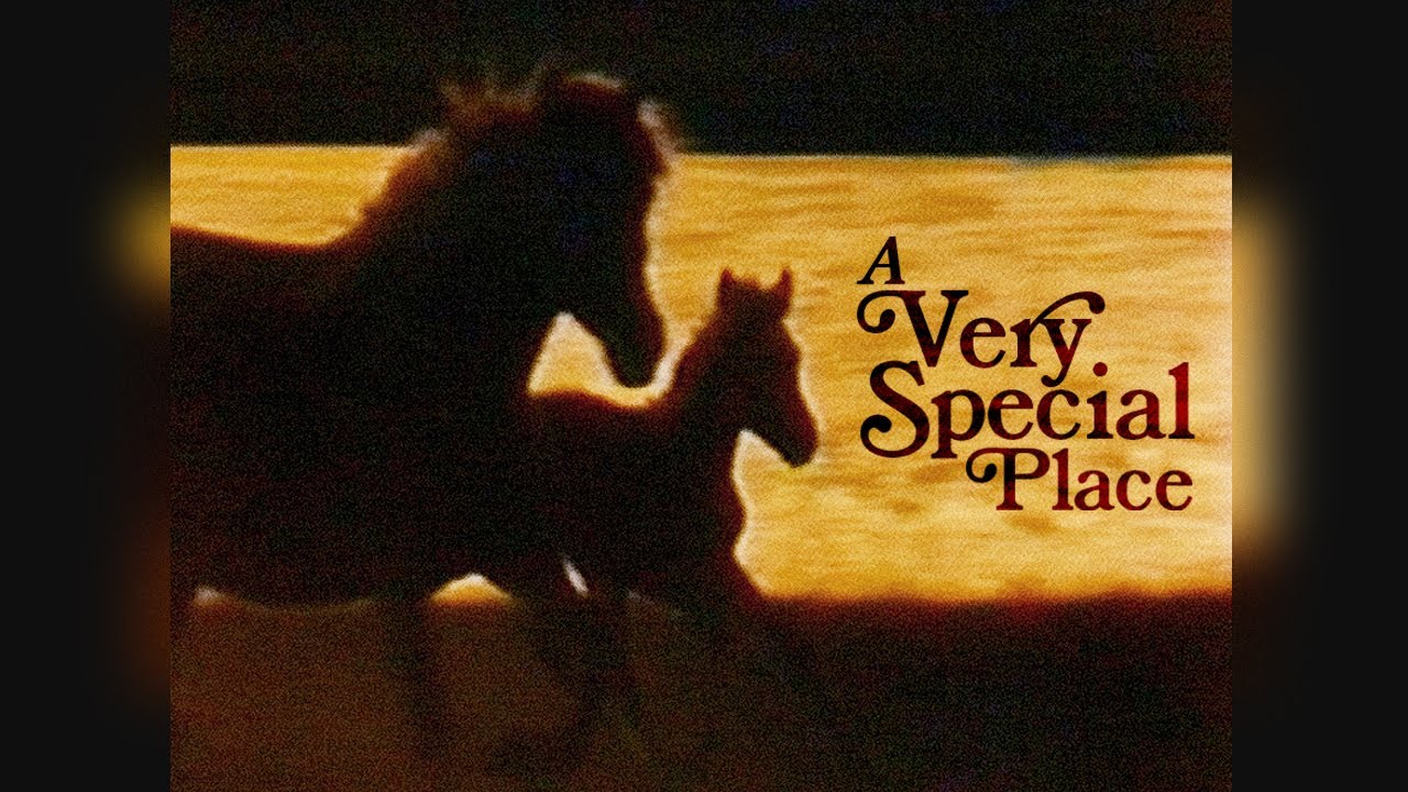 A Very Special Place (1994) | Assateague Island Documentary