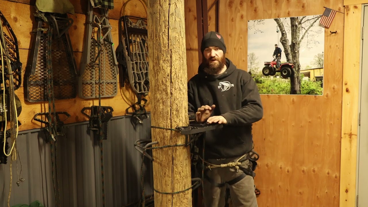 Wild Edge Inc. - The Perch