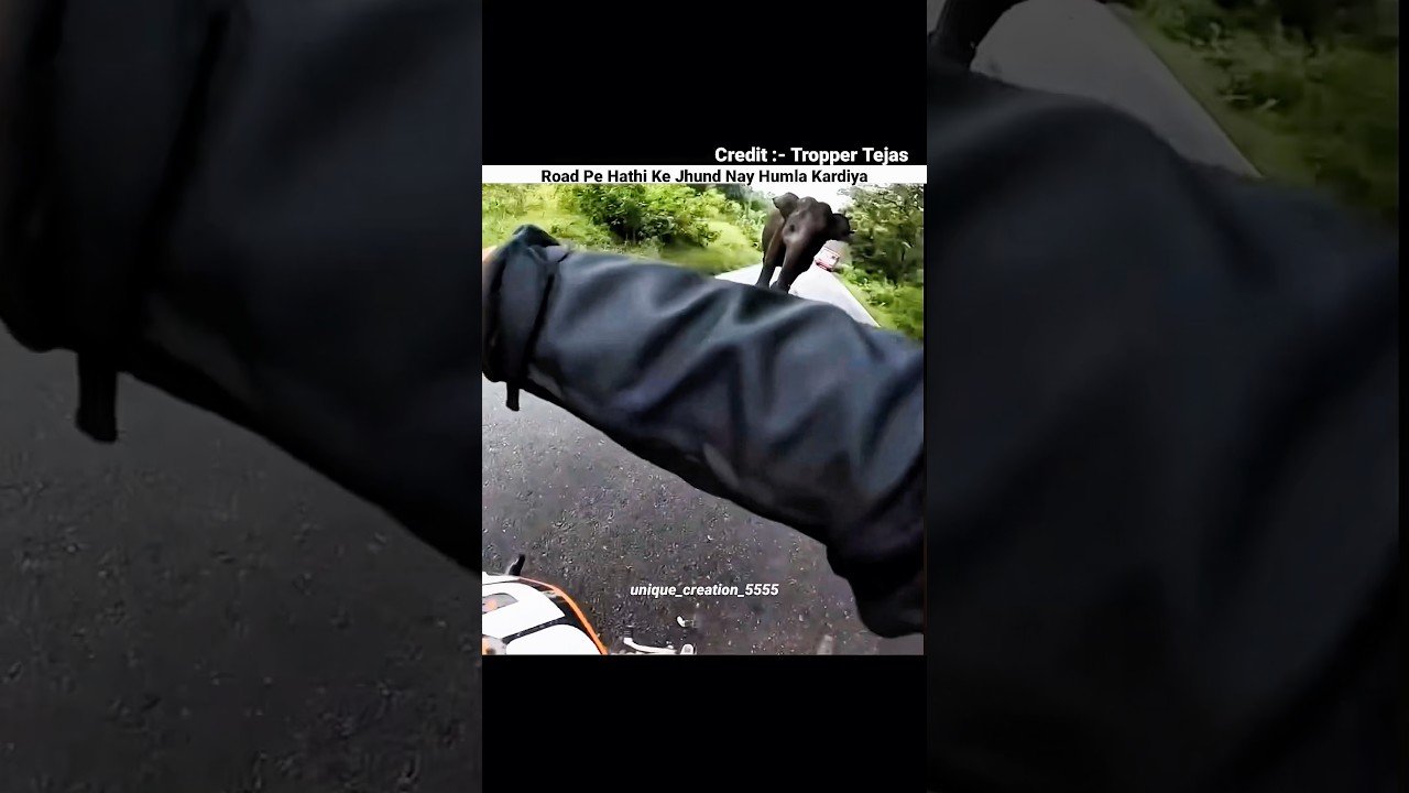 Road Pe Hathi Nat Attack Kiya😥 #trending #viral #motovlog #bikelover #vlog #shorts #rider #sad #h2r