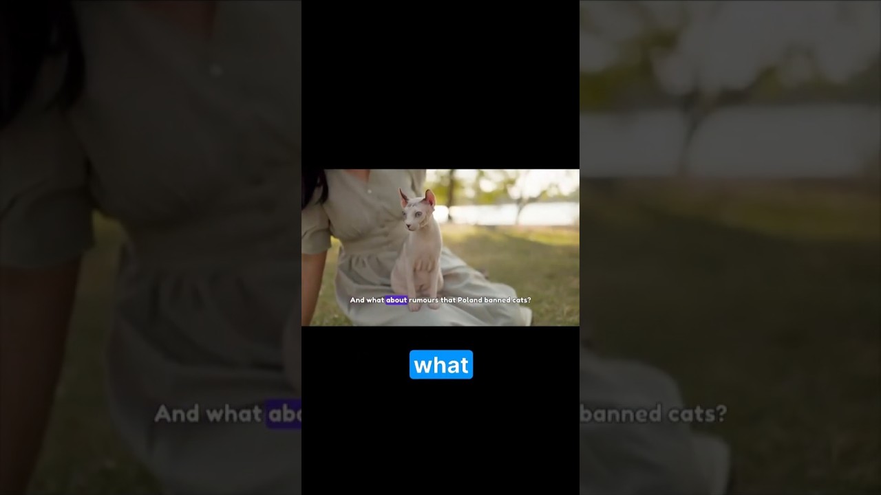 Why Did They Ban These Cat Breeds?!