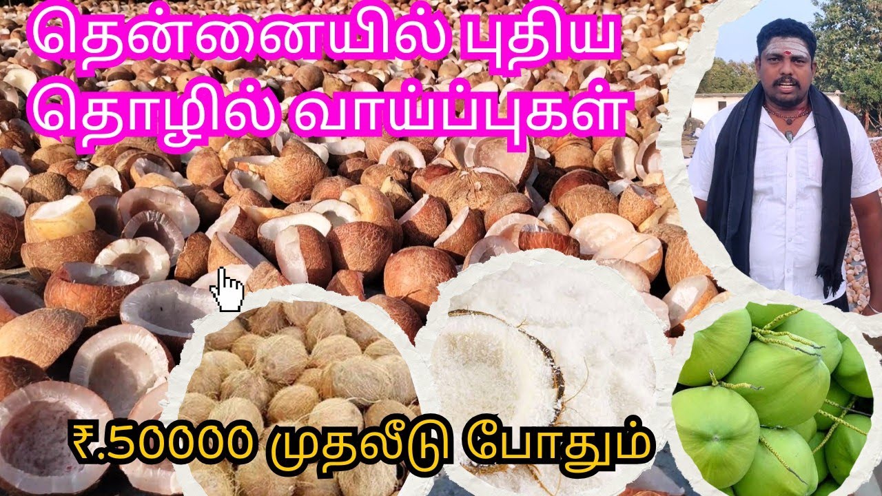 தேங்காய், கொப்பரை தேங்காய் தொழில் | Coconut Business #kopparai