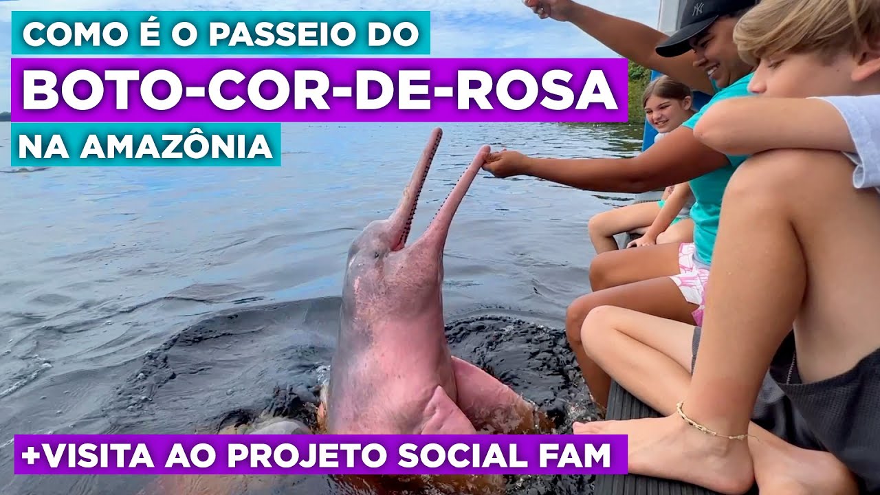 Como é o passeio dos botos cor de rosa na Amazônia e a visita a FAM - Viagem com Crianças