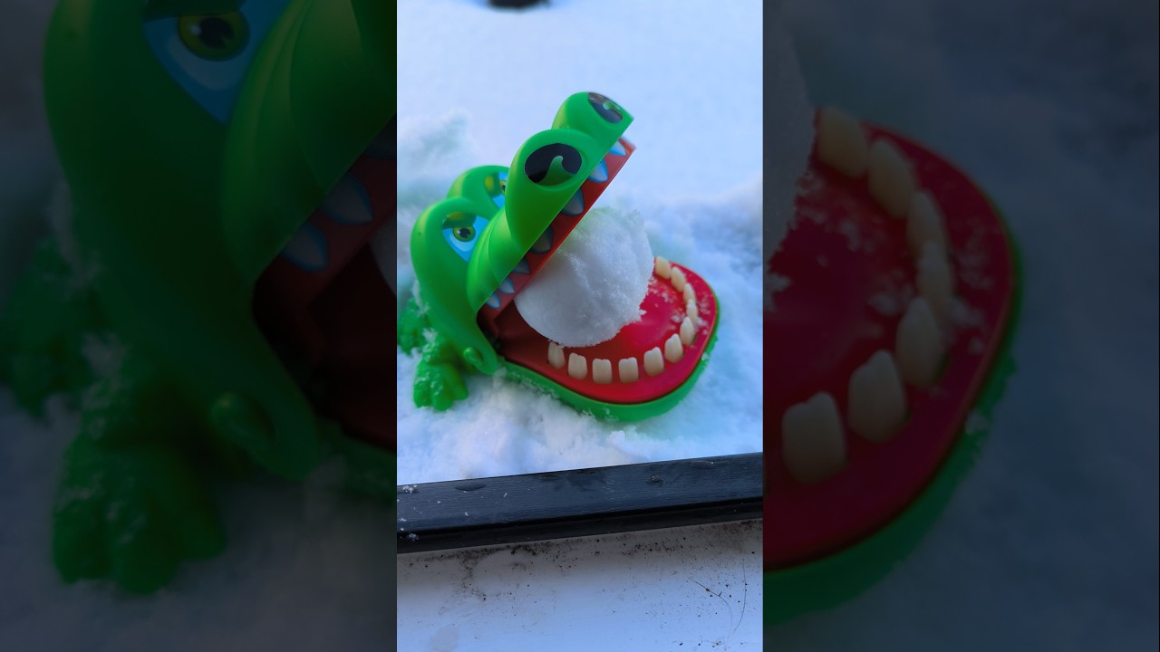 #croco #fun #trending #satisfying #asmr #snowball #entertainment