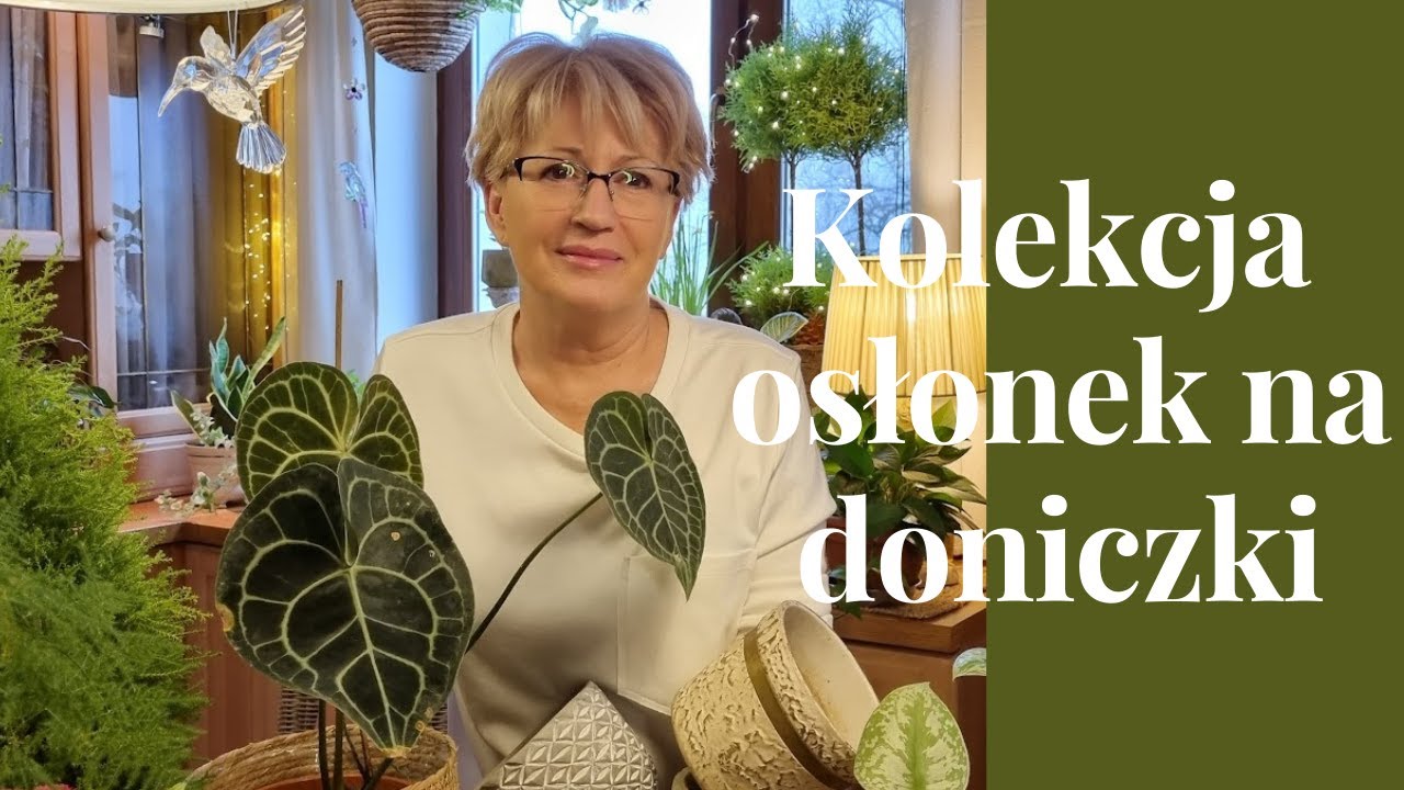 MOJA KOLEKCJA OSŁONEK NA DONICZKI