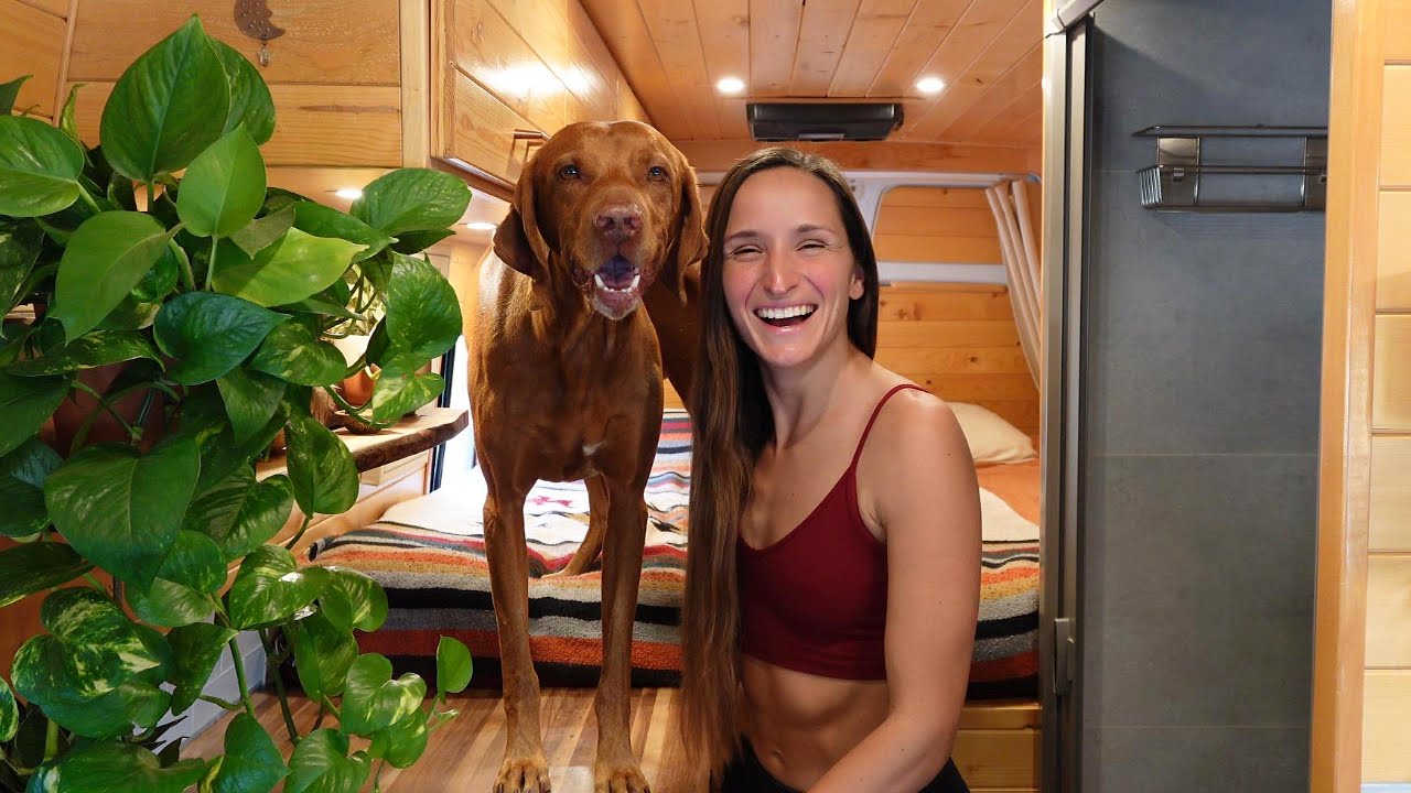 Жизнь в фургоне с собакой | Советы, дрессировка и всё необходимое! 🚐 🐕