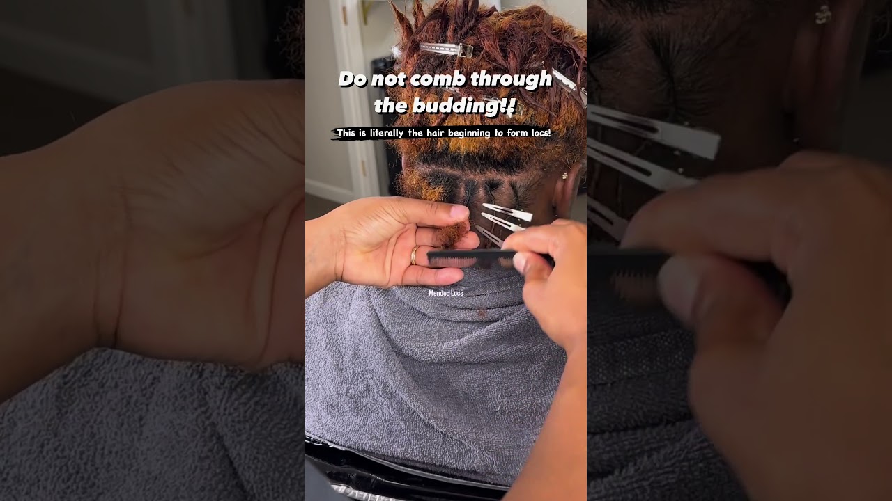 Do not comb through the budding!! tip of the day by @themendedloc.show