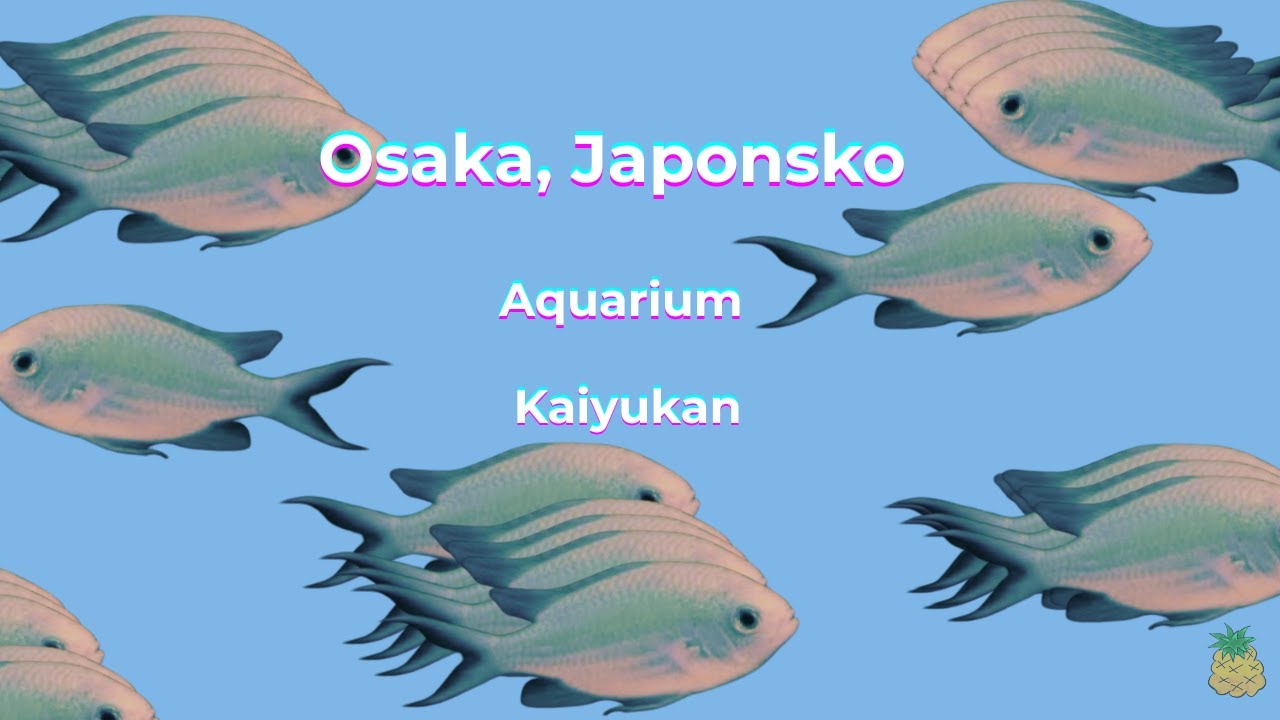 JAPONSKO 2025 | Osaka Akvárium Kaiyukan - část 1