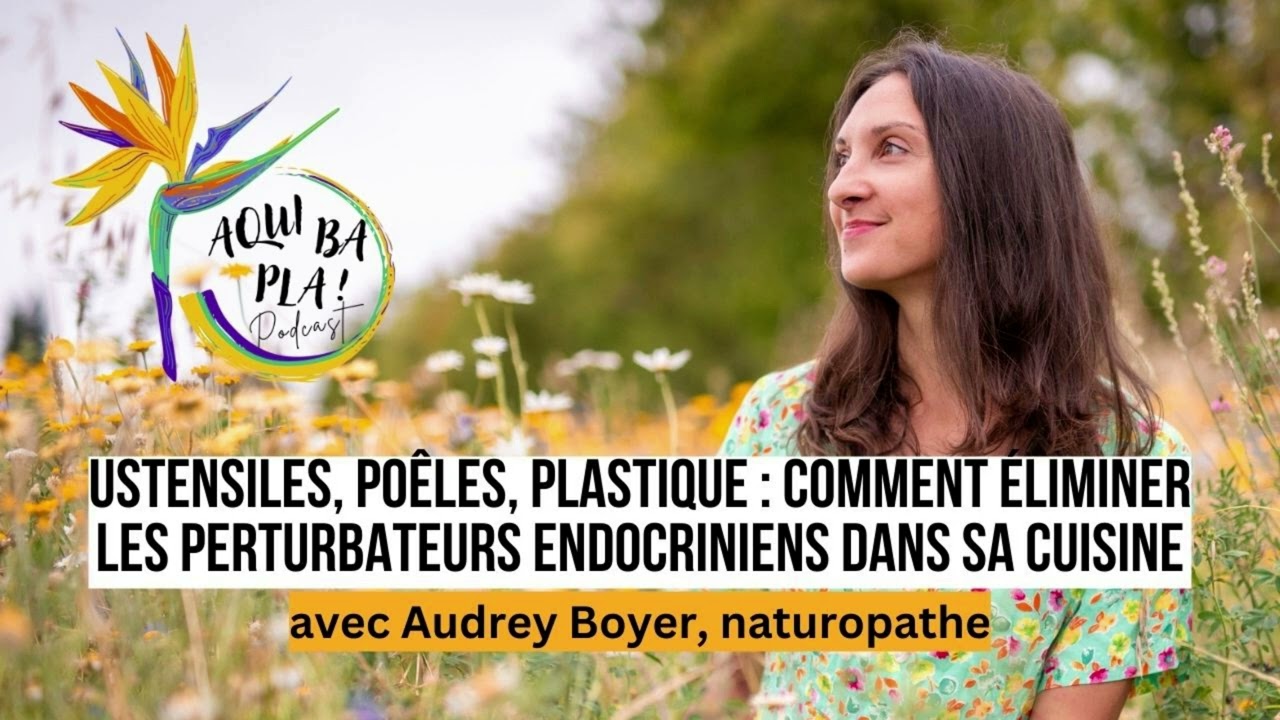 78 - Ustensiles, poêles, plastique : comment éliminer les perturbateurs endocriniens dans sa cuisine