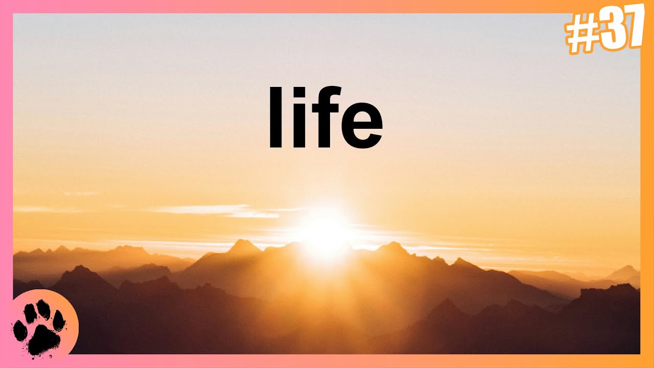 A Bit About: Life