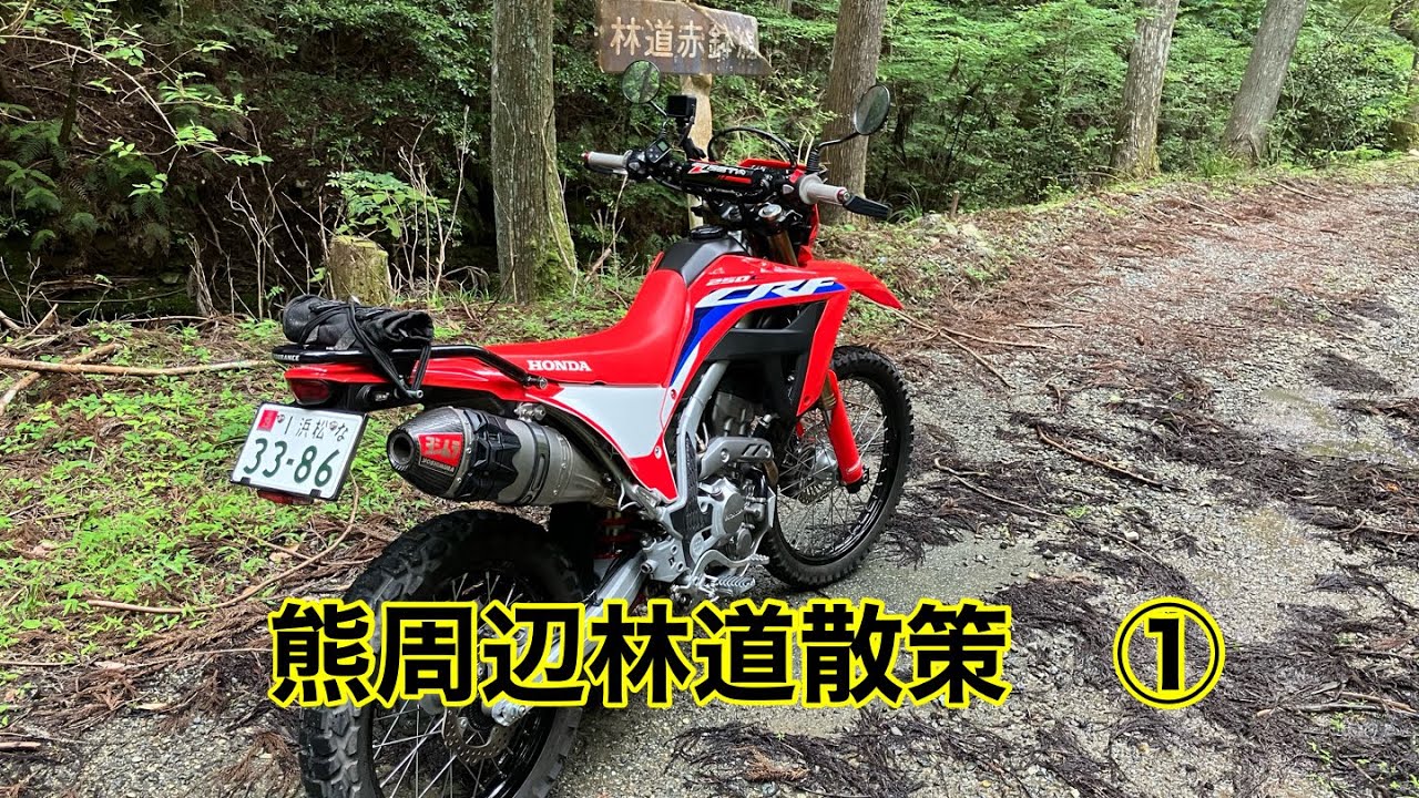 熊周辺林道散策　①