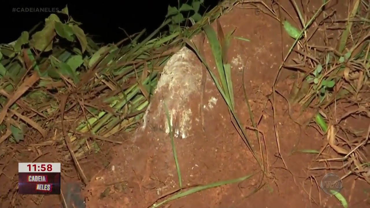 Instalador de internet morre preso às ferragens ao cair com carro em rio na comunidade Olho D'Água