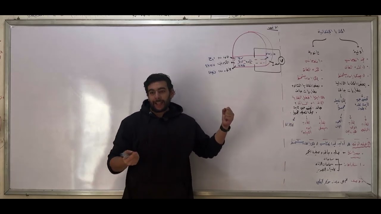 شرح الخلايا الجلفانيه الاوليه