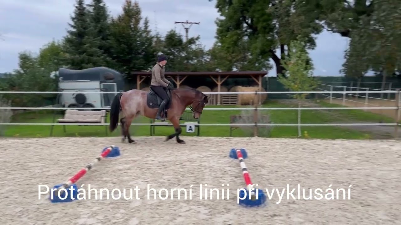 Domiko Messi - výcvik mladého koně - gymnastická část