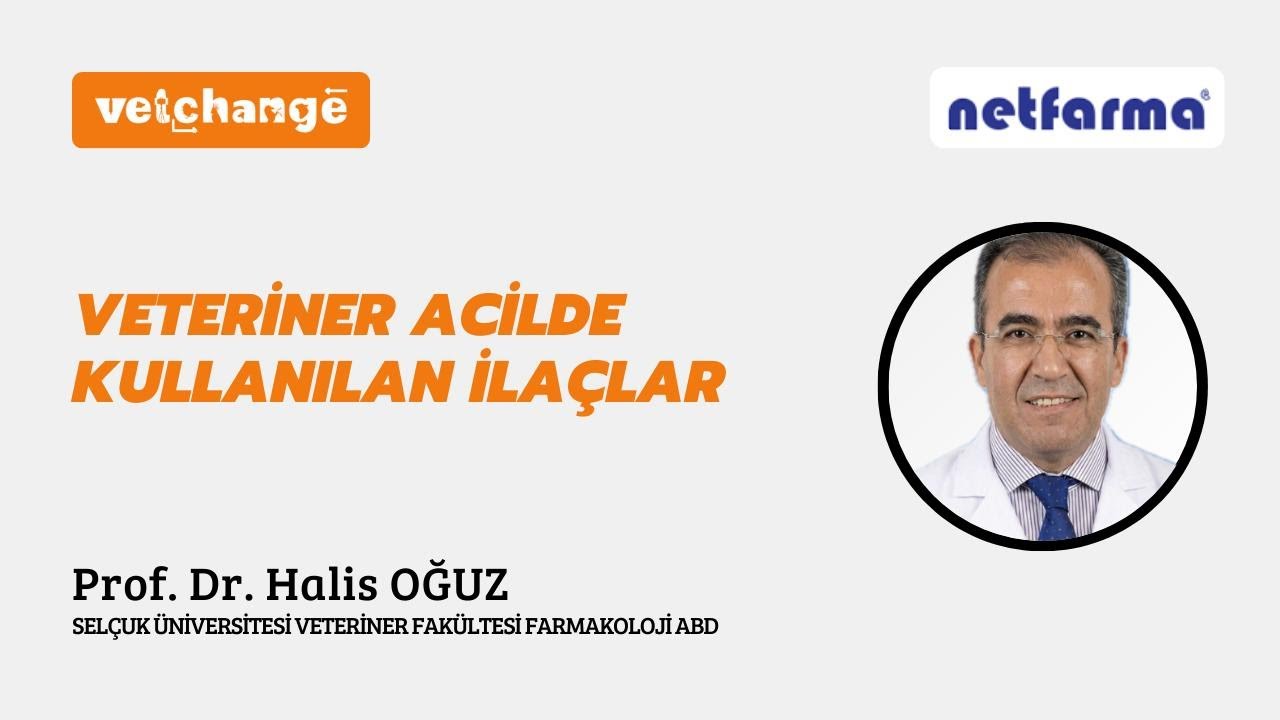 Veteriner Acilde Kullanılan İlaçlar 