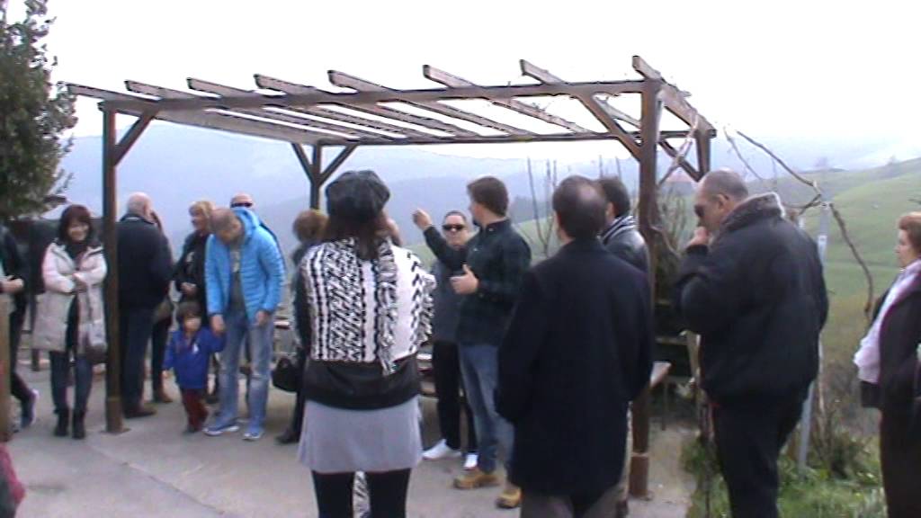 Visita Bodegas VIdular