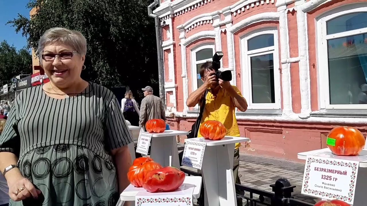 💕 В Минусинске💕Праздник помидора🍅
