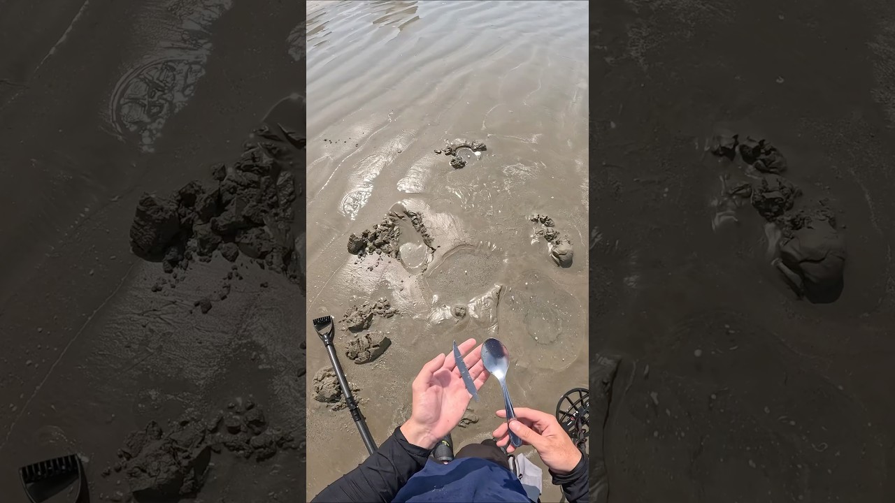 que peligroso esto en la playa #detectordemetales #tesoro