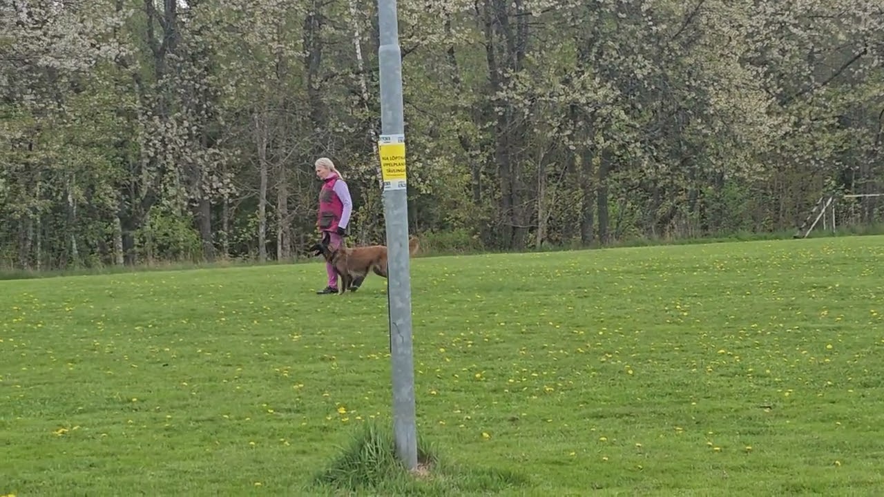 250510 RM EKL SPÅR SOMMENB  BK