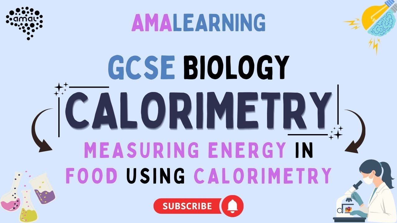 GCSE Biology - Measuring Energy in Food Using Calorimetry