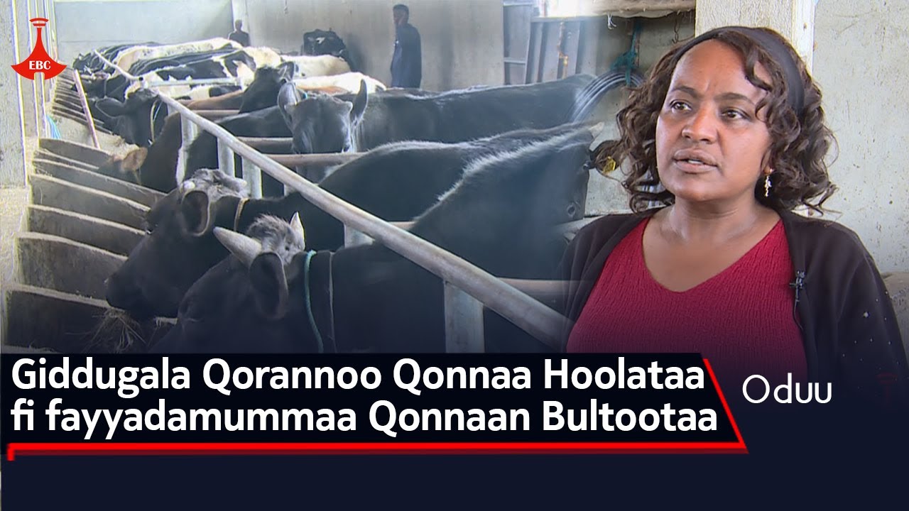 Giddugala Qorannoo Qonnaa Hoolataa fi fayyadamummaa Qonnaan Bultootaa