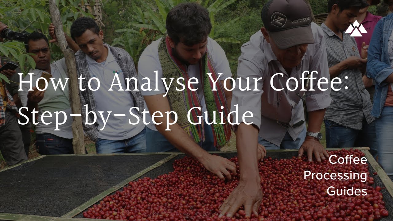 How to Analyse Your Coffee:  Step-by-Step Guide