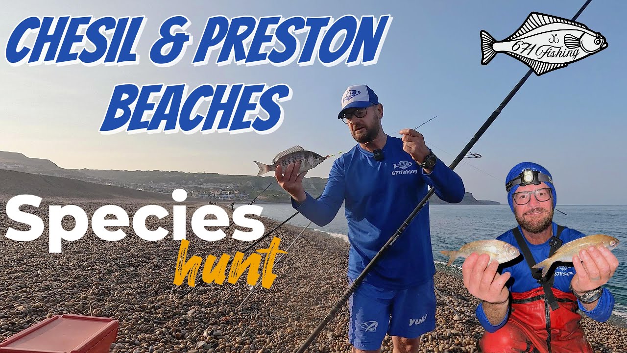 UK Sea Fishing - Chesil & Preston Beaches - Species Hunt - A special Species caught.