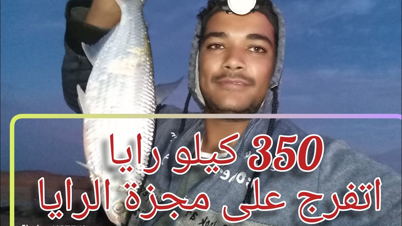 مجزرة الرايا مفيض توشكى 350 كيلو فى يوم
