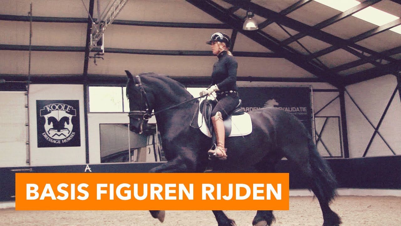 Basis figuren rijden | PaardenpraatTV