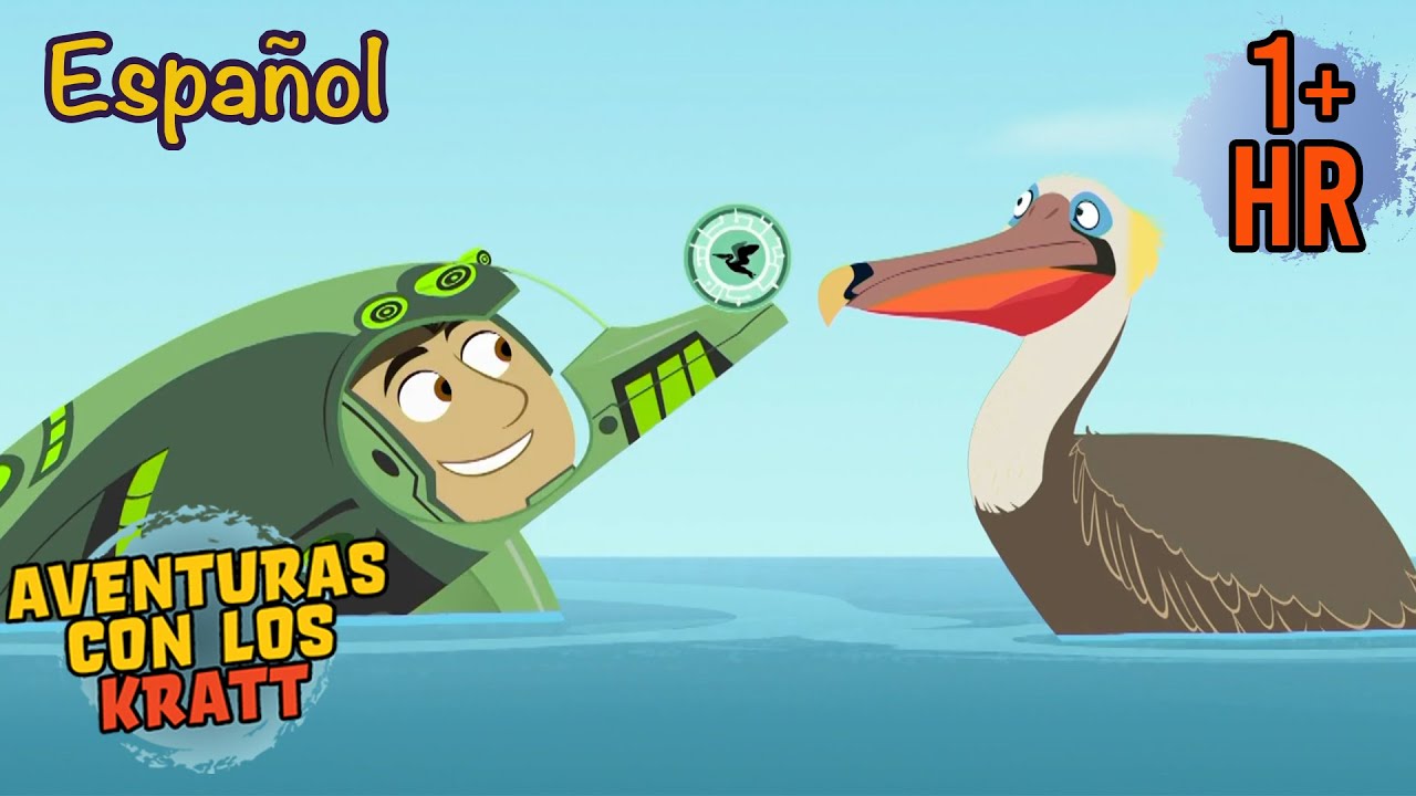 Aventuras del Caribe | Temporada 3 [episodios completos] Aventuras con los Kratt