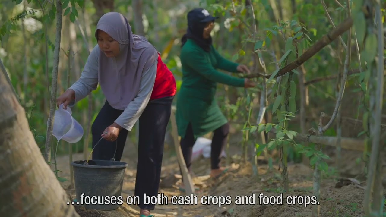 Improving food security and climate-resilient agroforestry in Indonesia