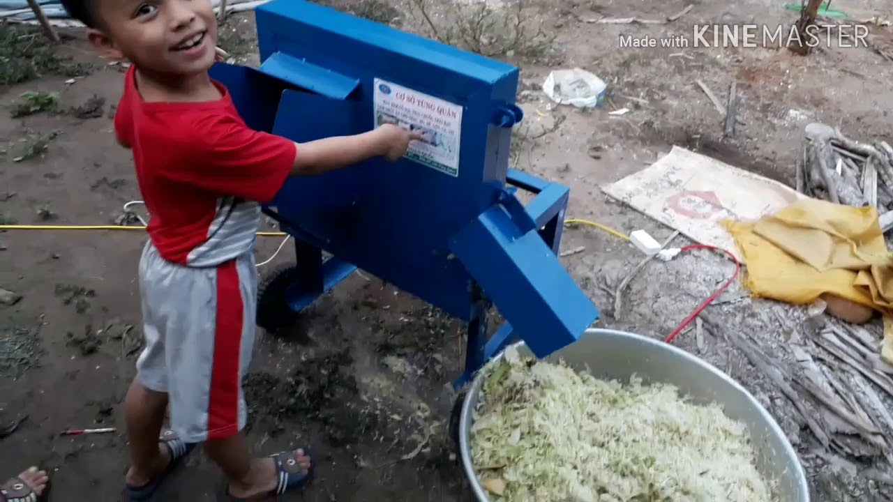 Máy băm cây chuối quá nhanh,chủ nhà chưa định hình được chuyện gì đang xảy ra và muốn tự tay băm thử