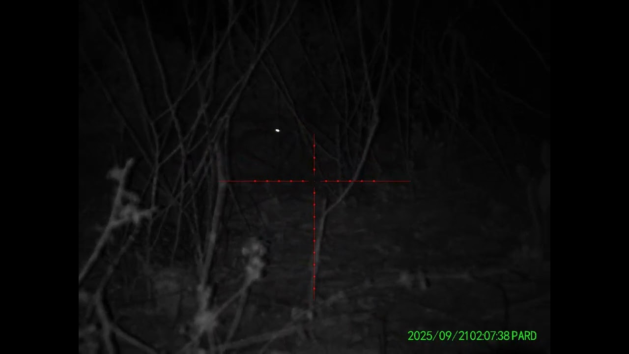 pard nv008sp2 lrf despues de correjir