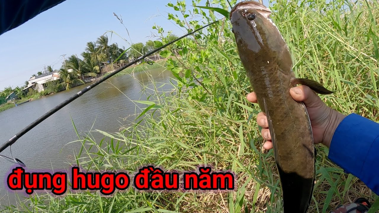 Lure ngầm đầu năm 2026 lấy lộc