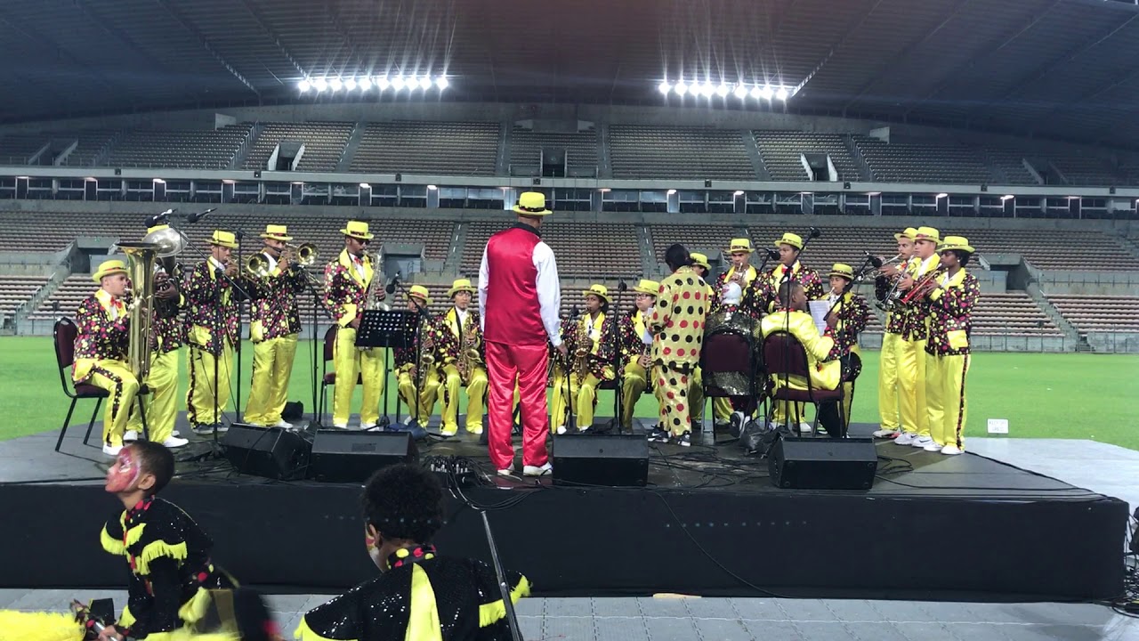 Heideveld Juvenile Best Band 2017