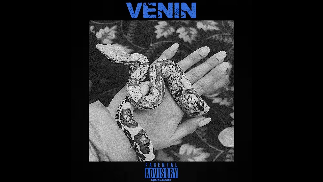 Type Beats NINHO x FREEZECORLEONE x TRAP - [VENIN]