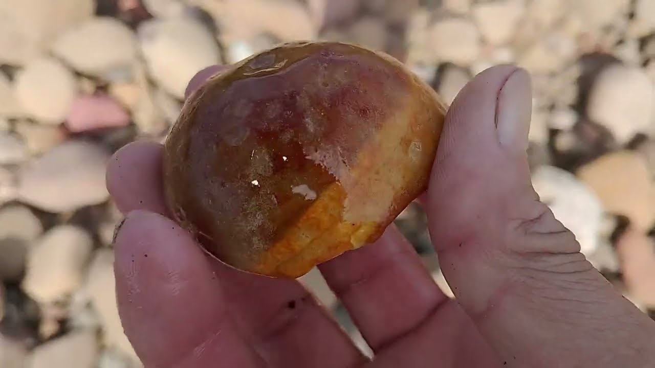 Será que vamos achar mais preciosidades como essa?