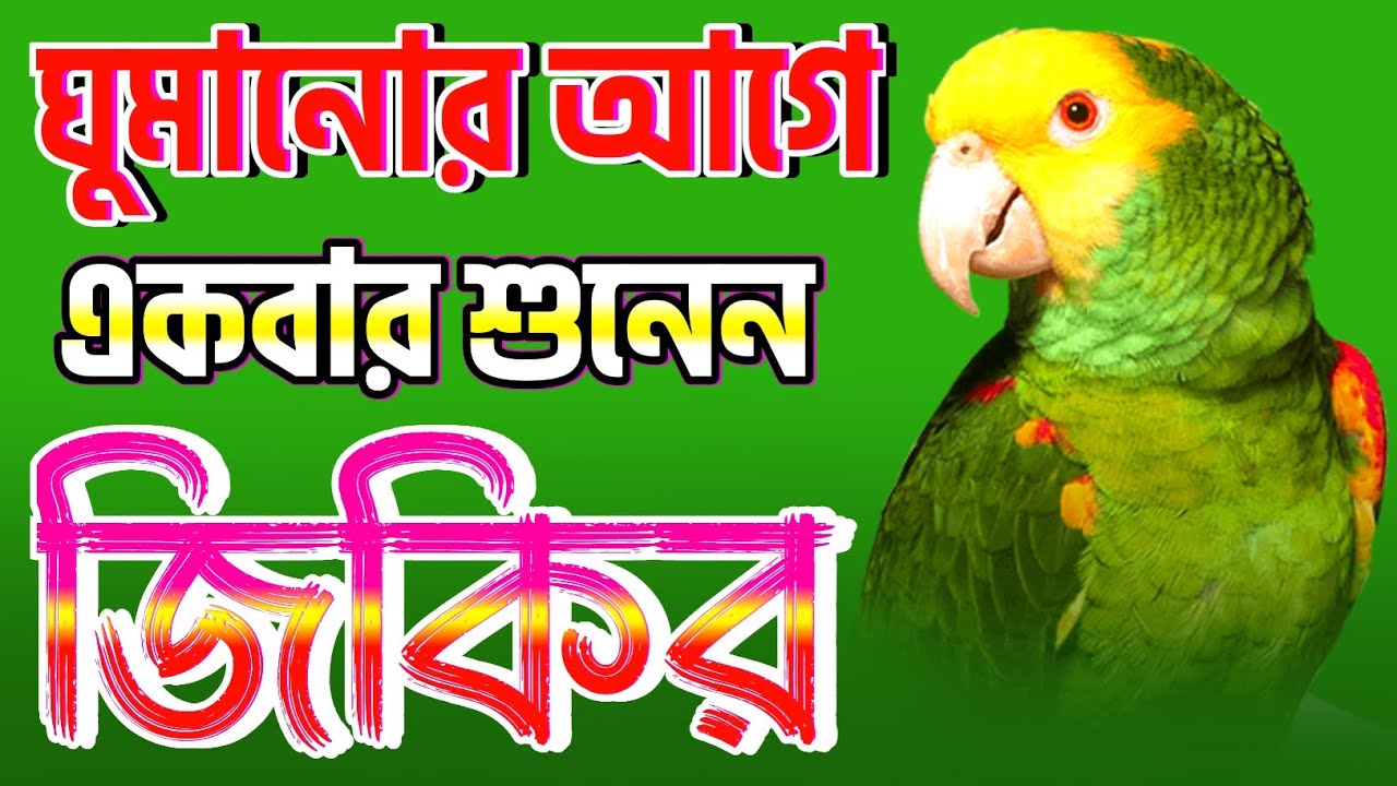 প্রতিদিন আল্লাহর জিকির শুনুন | BANGLA JIKIR | নতুন জিকির #জিকির  #zikir2024