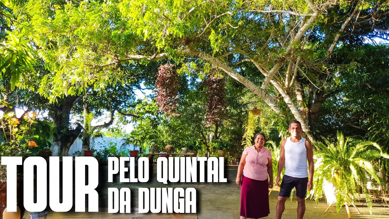 TOUR PELO QUINTAL DE DUNGA: UM SÍTIO DENTRO DA CIDADE COM PLANTAS EM VASOS DE CIMENTO | FOLHAGENS