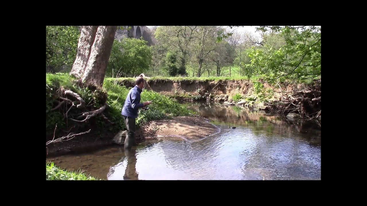 A Yorkshire Beck - Trout Fishing & Wildlife