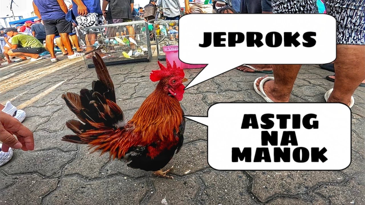 EKSENA SA MALABON JUNE 21, 2025 | PET TIANGGE