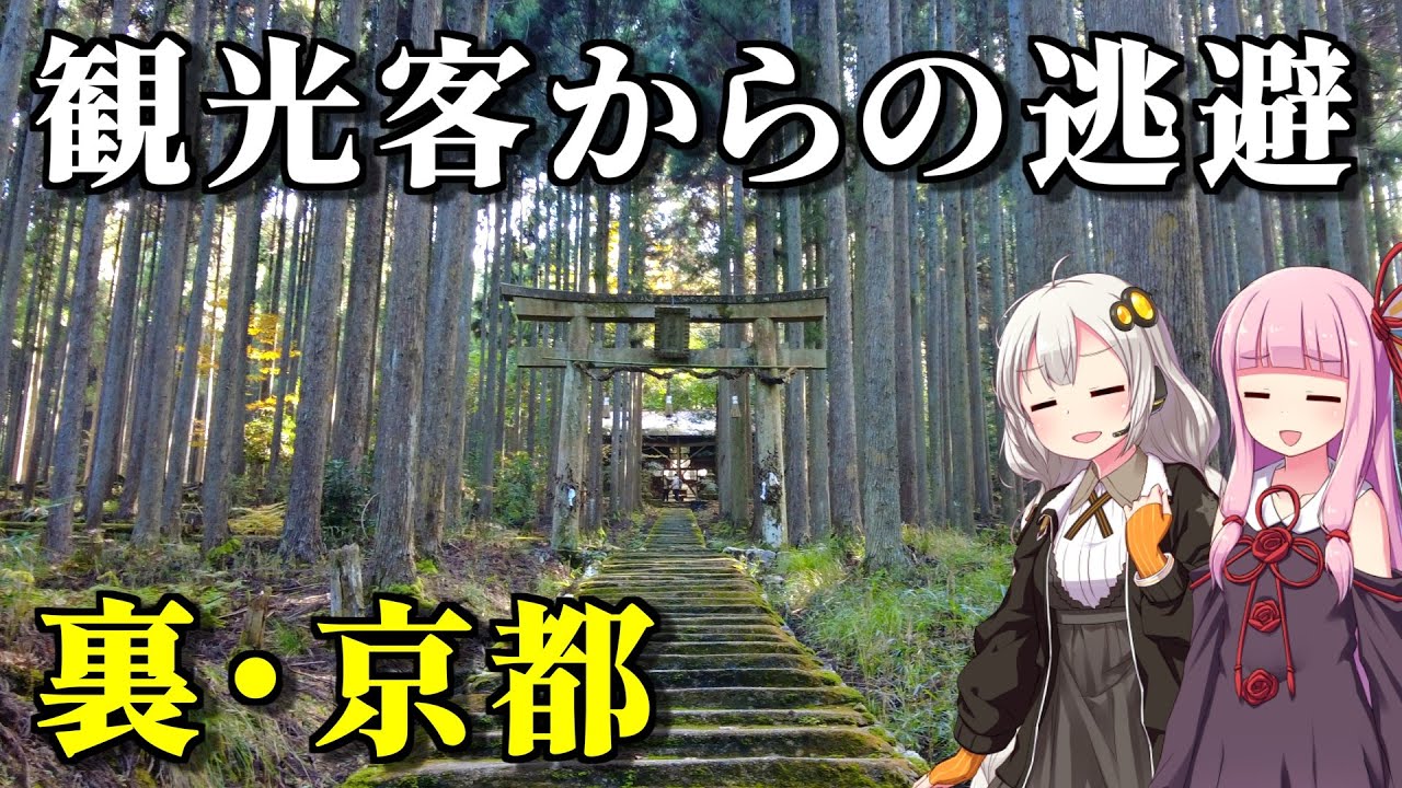 【穴場】紅葉の季節なのに観光客0～5人？京都観光で人混みを避けるなら山へ行け（ちゃんと京都です）