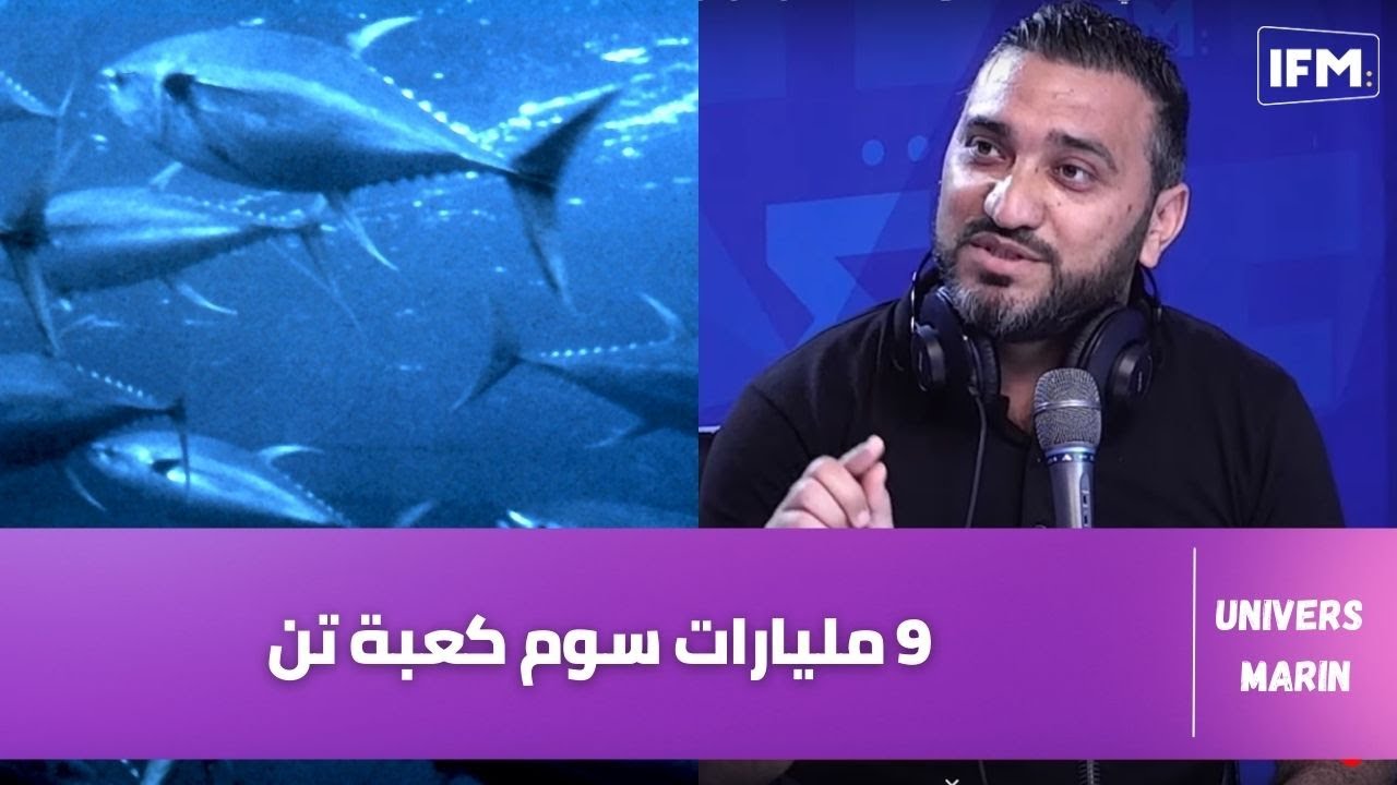 وائل كشاد: 9 مليارات سوم كعبة تن وهاو علاه التن الأحمر ما يتباعش في تونس ونصدرو فيه