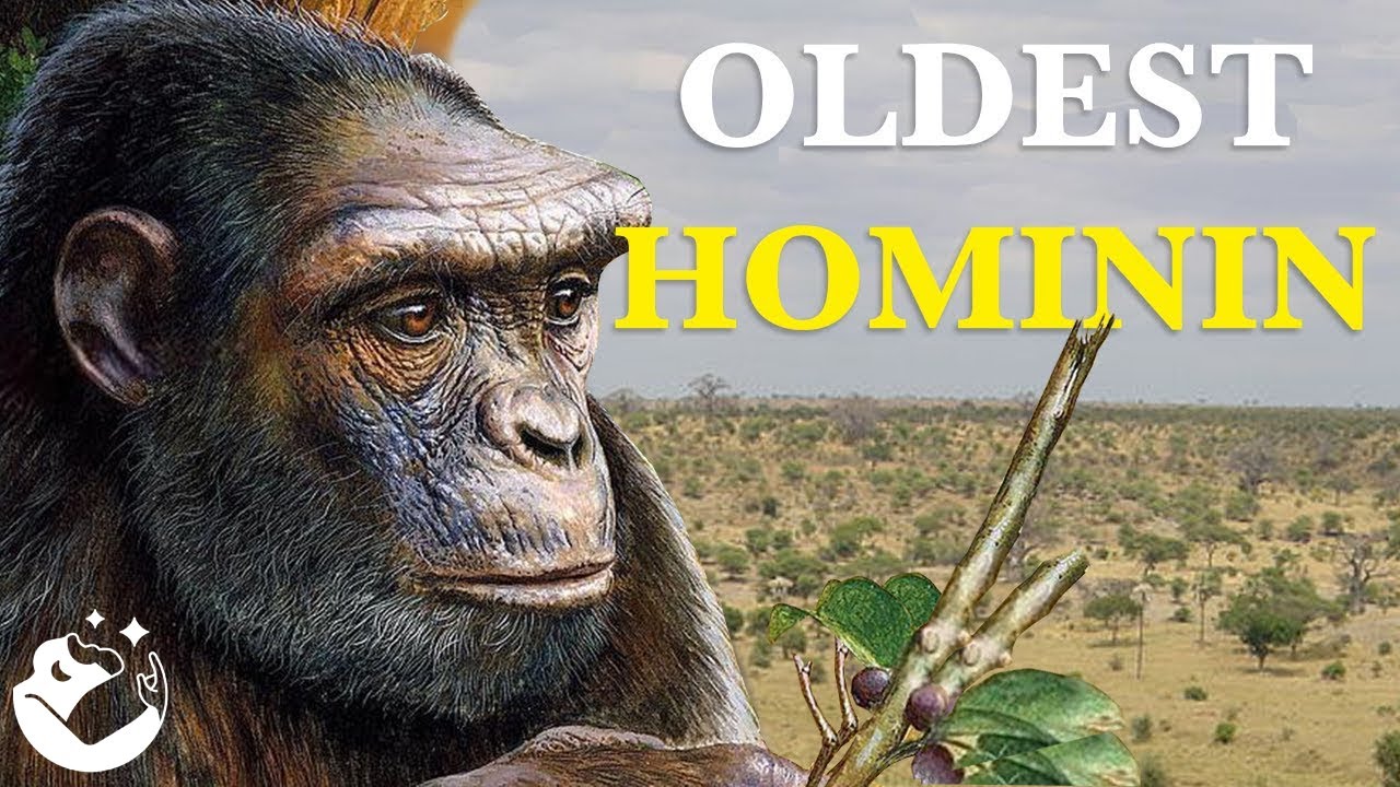 The Fascinating Origins of Hominins