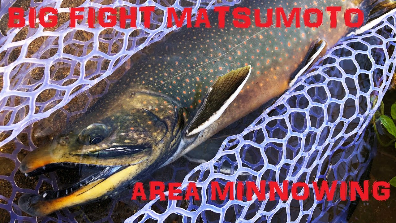 【エリアミノーイング】BFM/ビッグファイト松本 2020 エリアトラウト