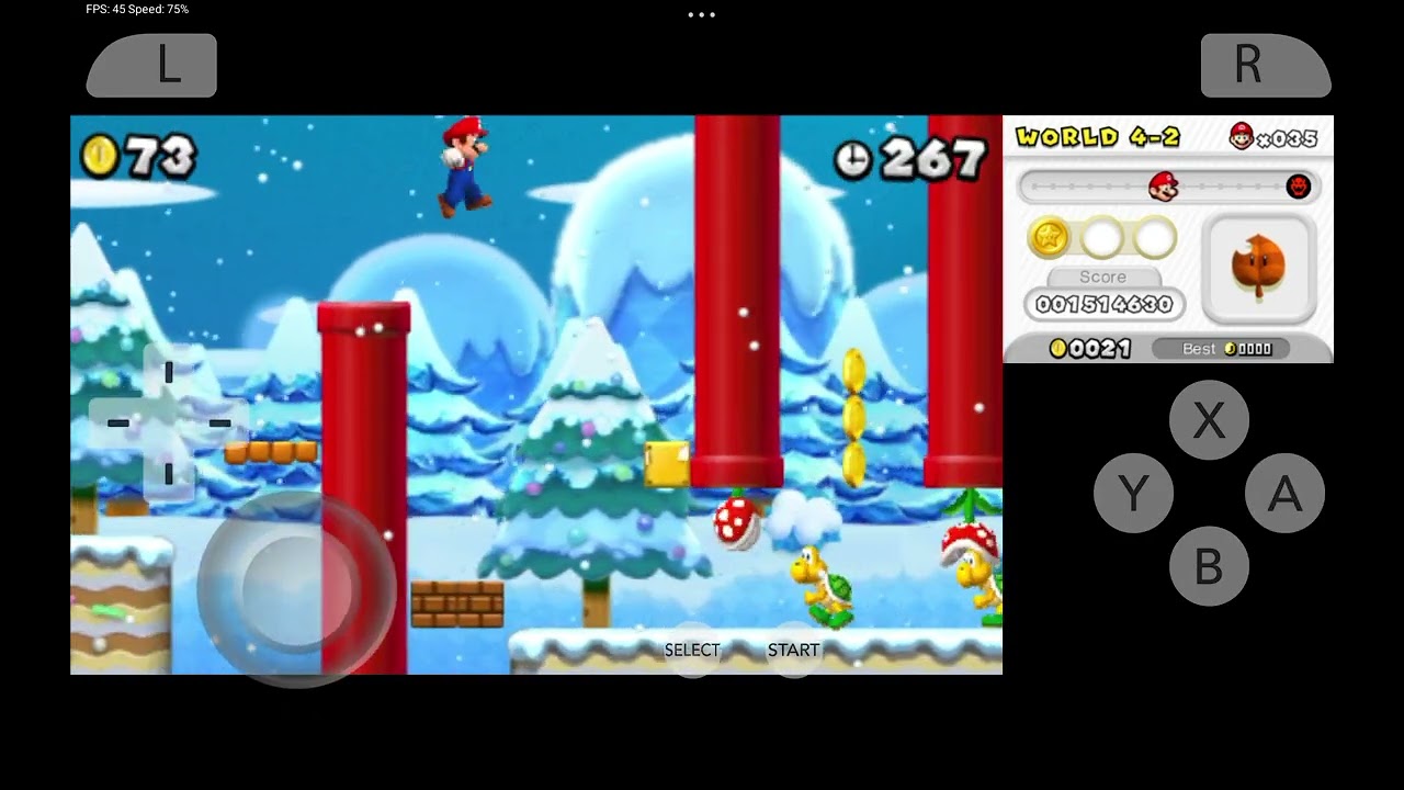 New Super Mario Bros 2 parte 9