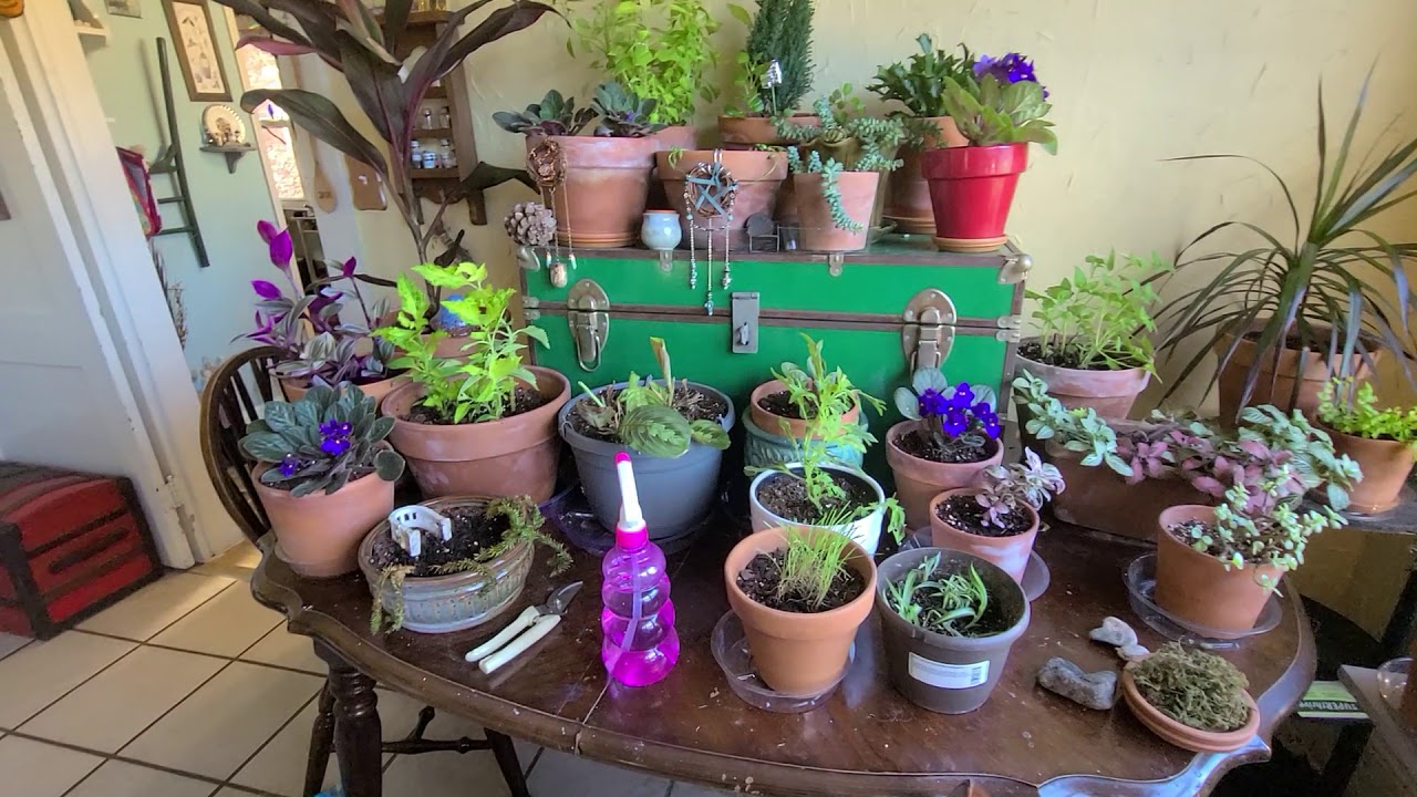 An updated witchy house tour